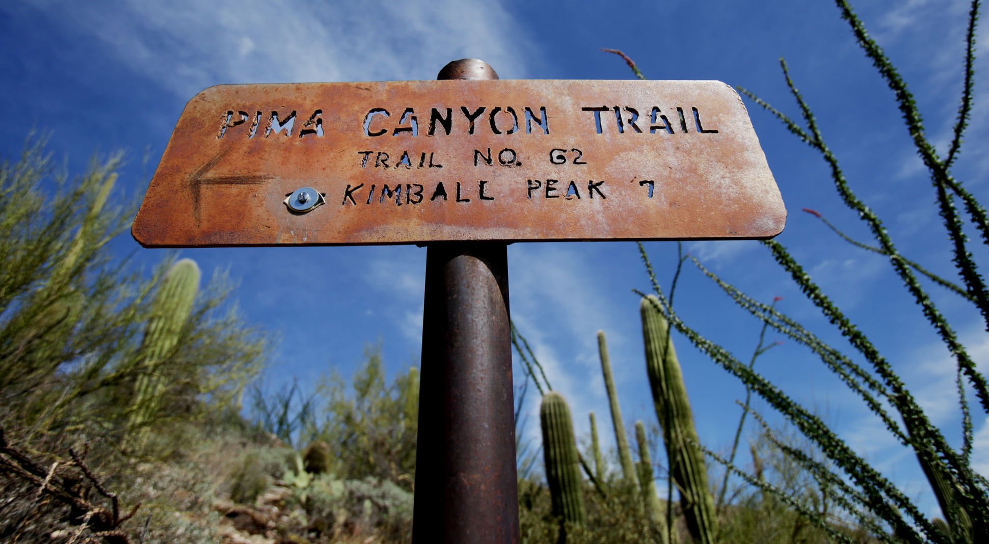 Pima Canyon Trail